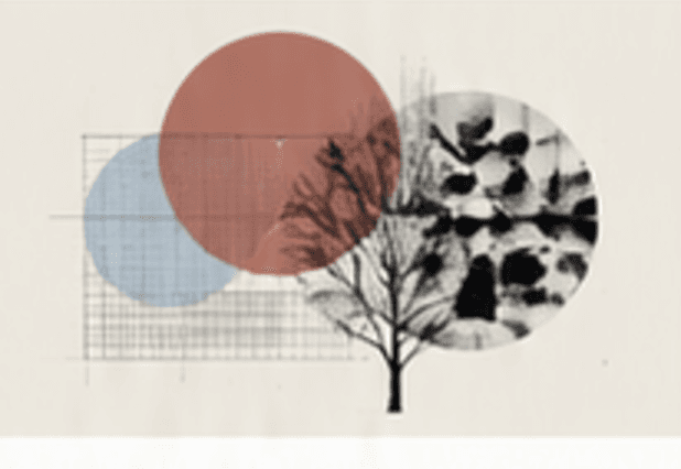 Illustration of a bare tree over a faint grid, overlaid with rust-red, pale blue and black-spotted circles